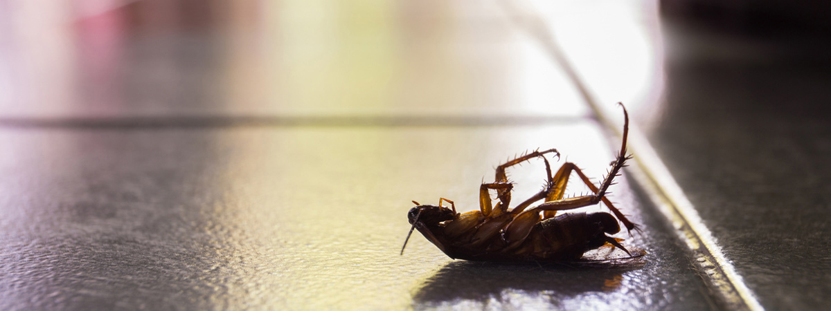 Commercial Construction