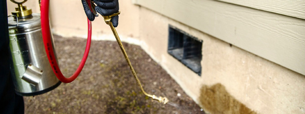 Retail Store Development