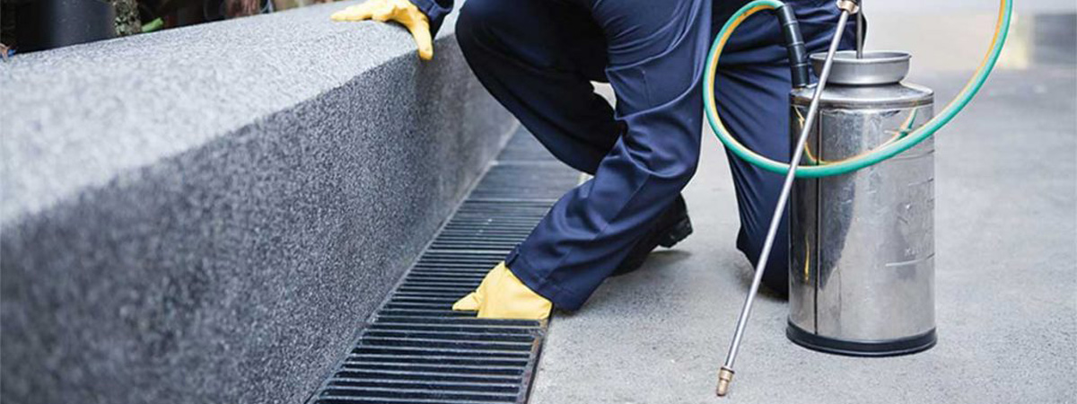 Retail Store Development