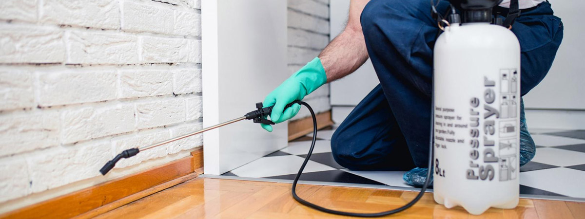 Retail Store Development